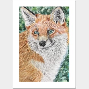 fox Posters and Art